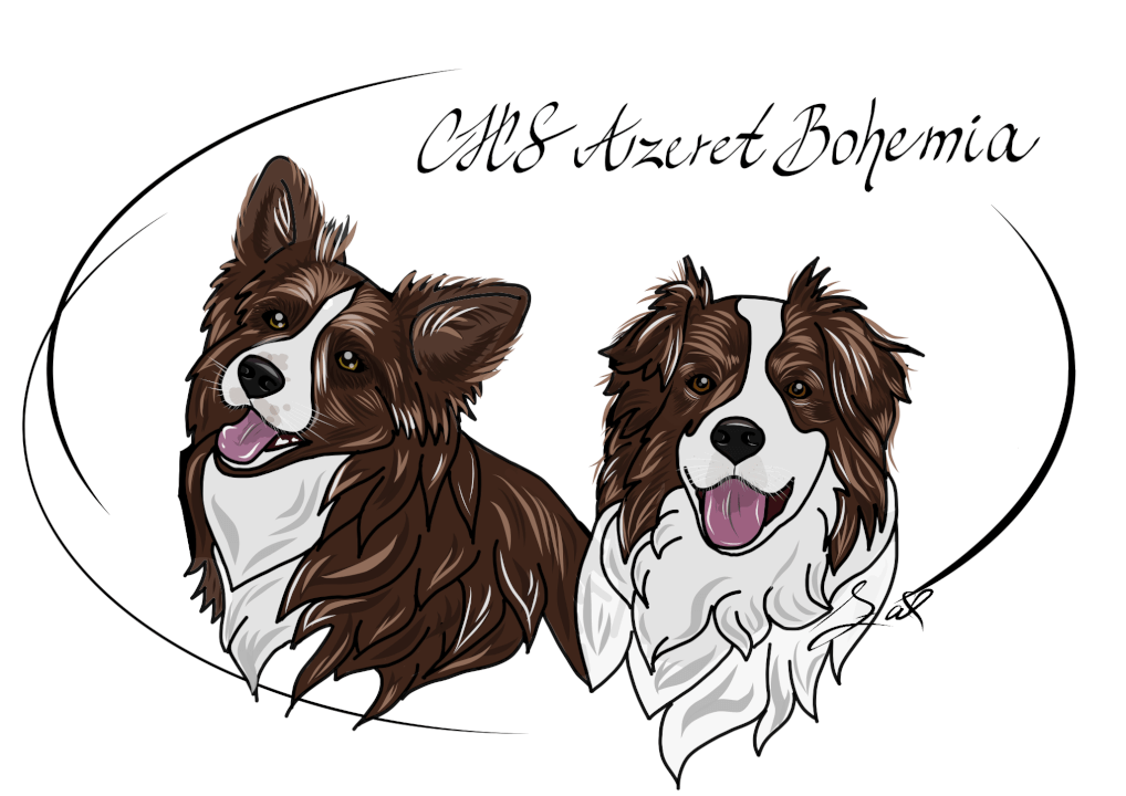 Digitální portréty vhodné na plátno, triko, hrnek, aj.