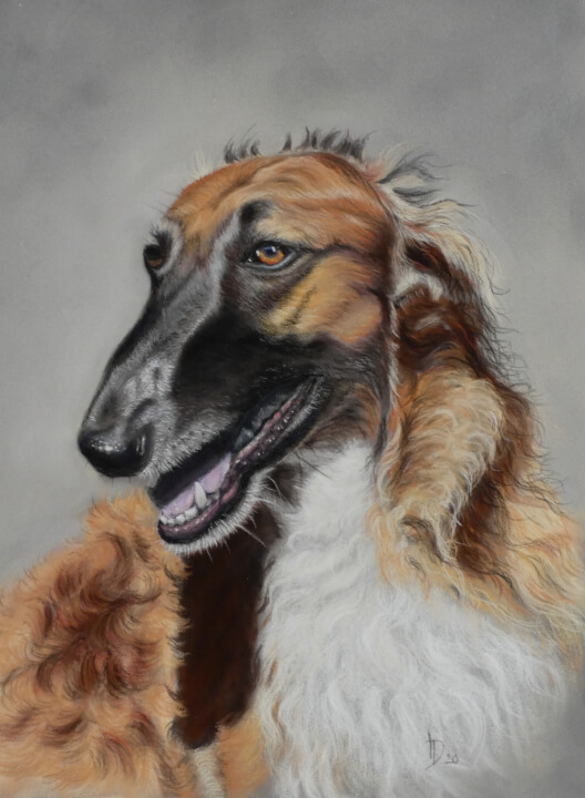 Kresby zvířat na přání podle fotografie