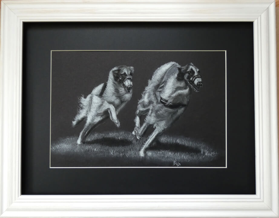 Kresby zvířat na přání podle fotografie