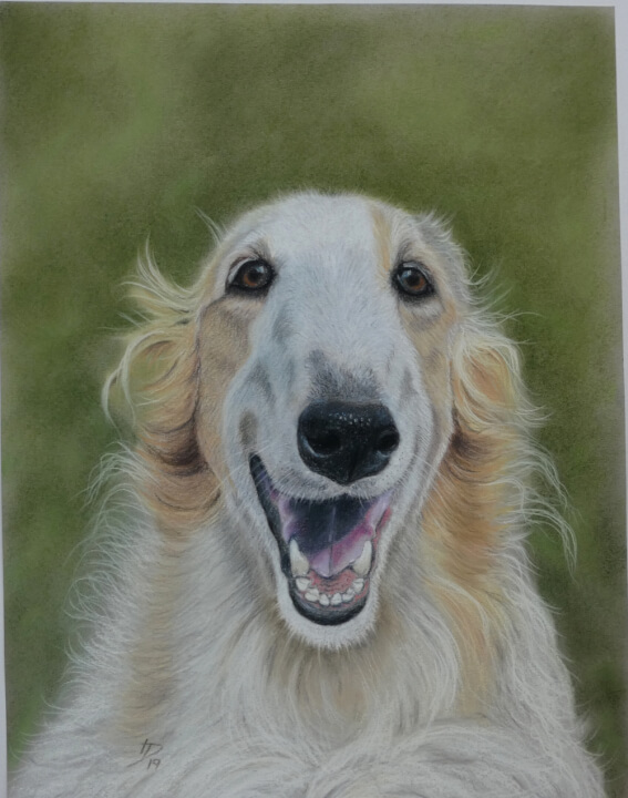 Kresby zvířat na přání podle fotografie