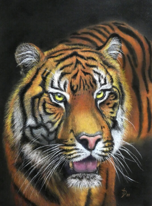 Kresby zvířat na přání podle fotografie