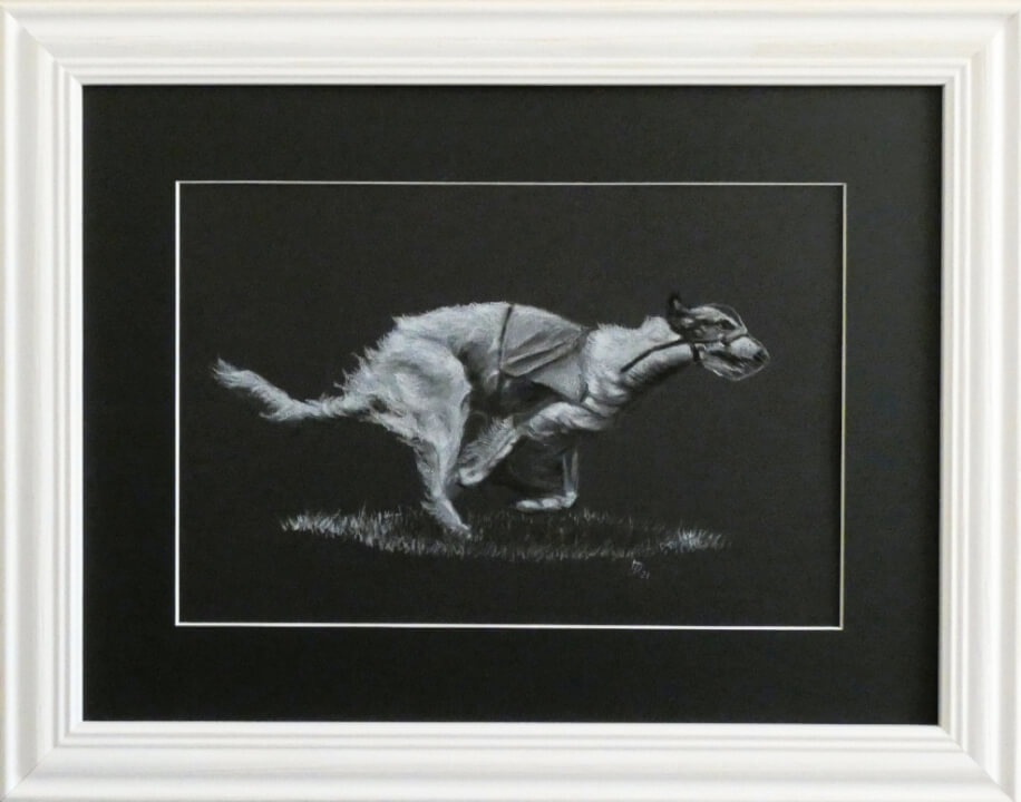 Kresby zvířat na přání podle fotografie