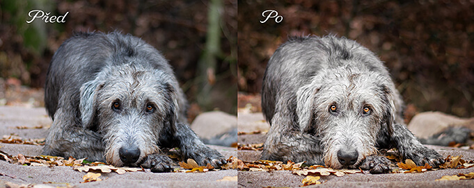 úprava vašich fotografií