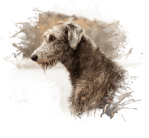 úprava vašich fotografií