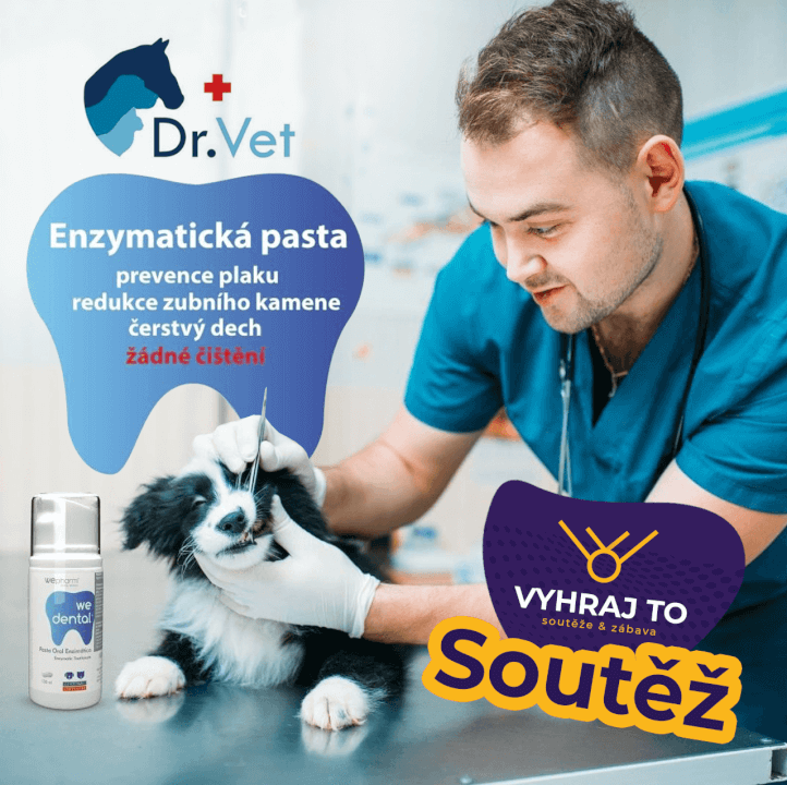 Soutěž, která přivede zákazníky a fanoušky na Vaši stránku