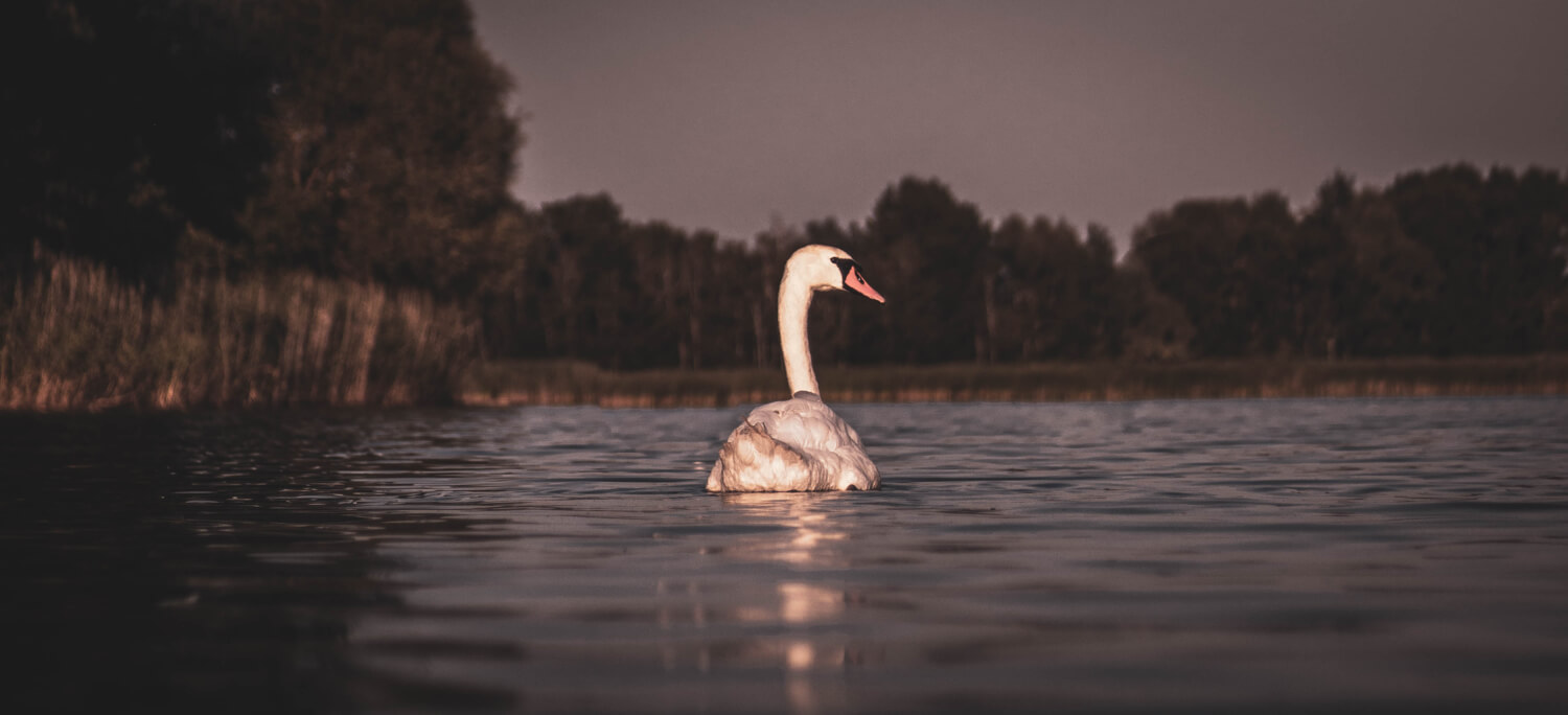 Post-processing, retuš