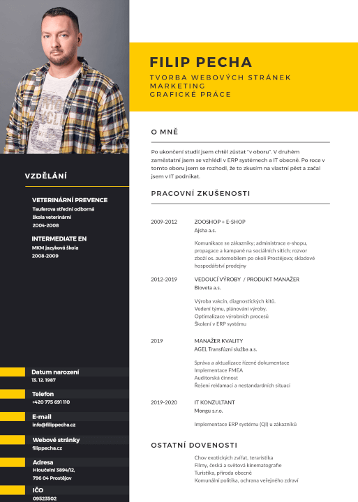 Profesionální CV