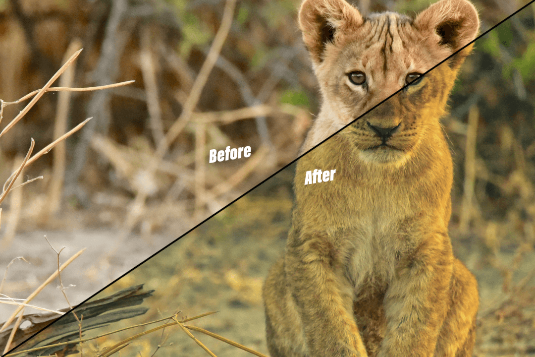 Zkrášlení barev u fotek