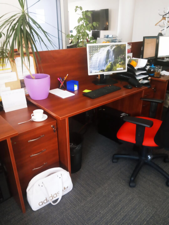 VIRTUÁLNÍ ASISTENTKA na telefonu a online 