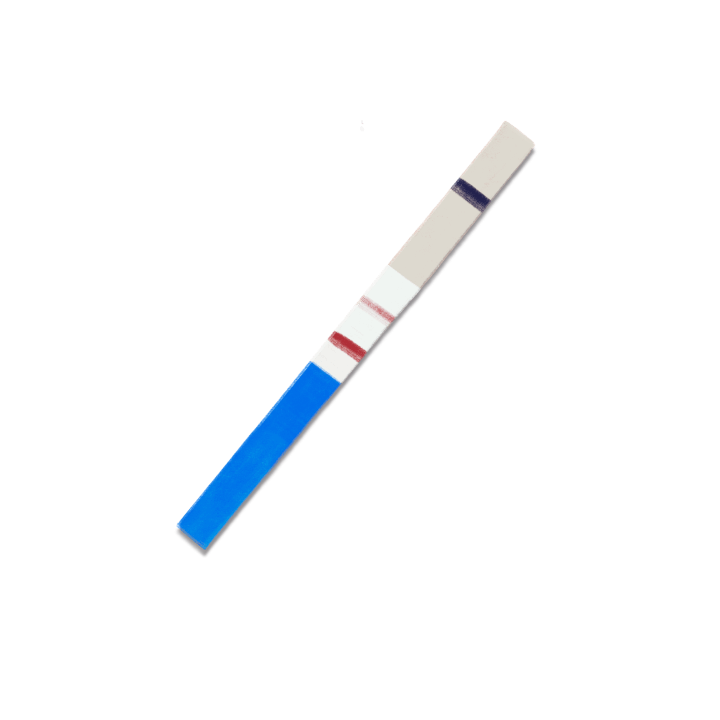 5 ks brandových GIFů pro instagram, TikTok, FB