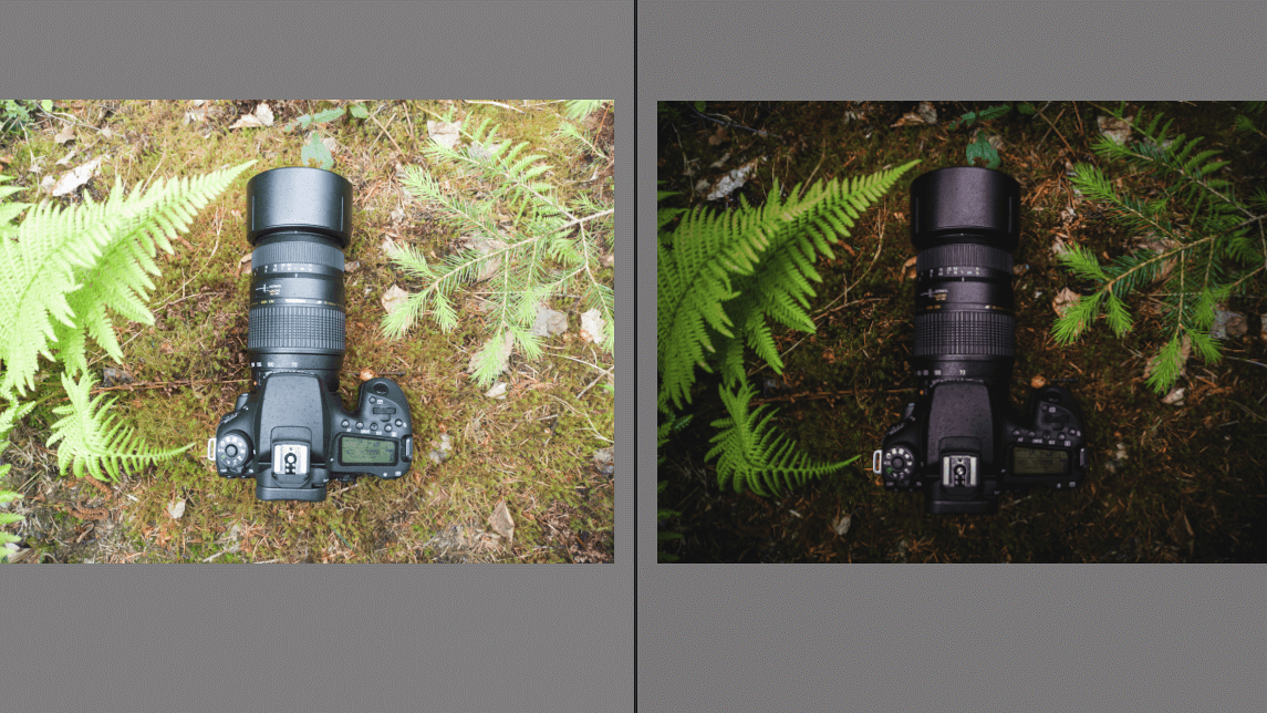 Profesionální retuš fotografií 