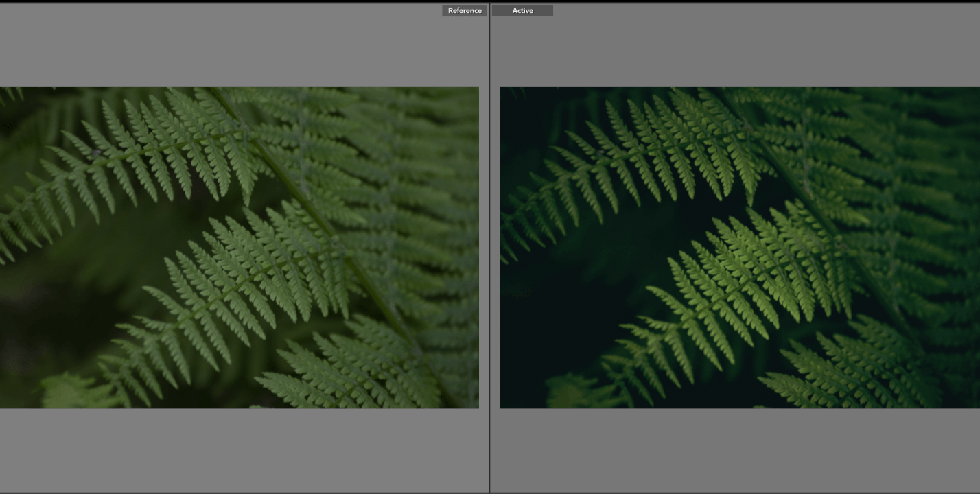 Profesionální retuš fotografií 