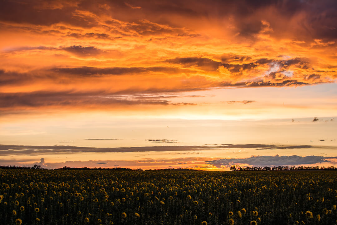 Zpracování fotek v Adobe Lightroom