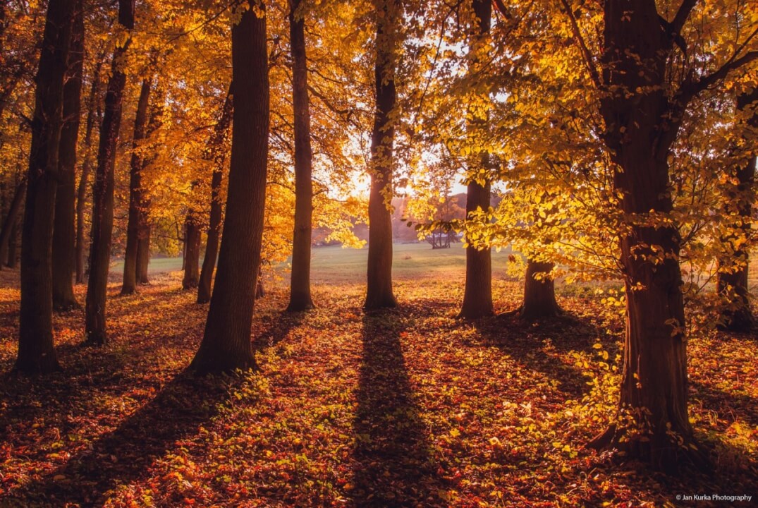 Zpracování fotek v Adobe Lightroom