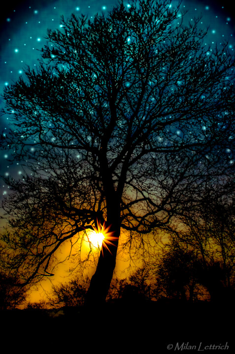 Úprava fotiek/ Odstránenie pozadia