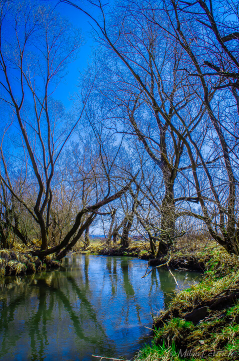 Úprava fotiek/ Odstránenie pozadia