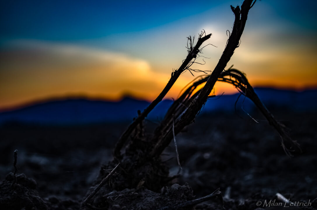 Úprava fotiek/ Odstránenie pozadia