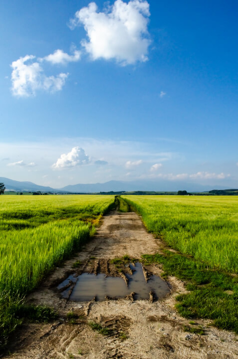 Úprava fotiek/ Odstránenie pozadia