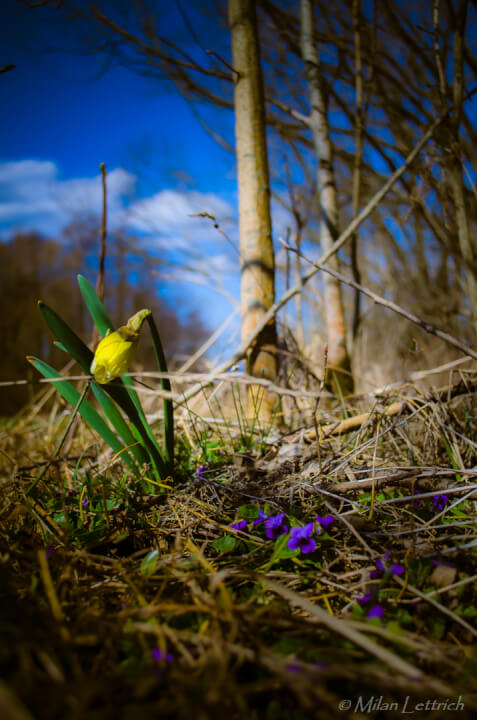 Úprava fotiek/ Odstránenie pozadia