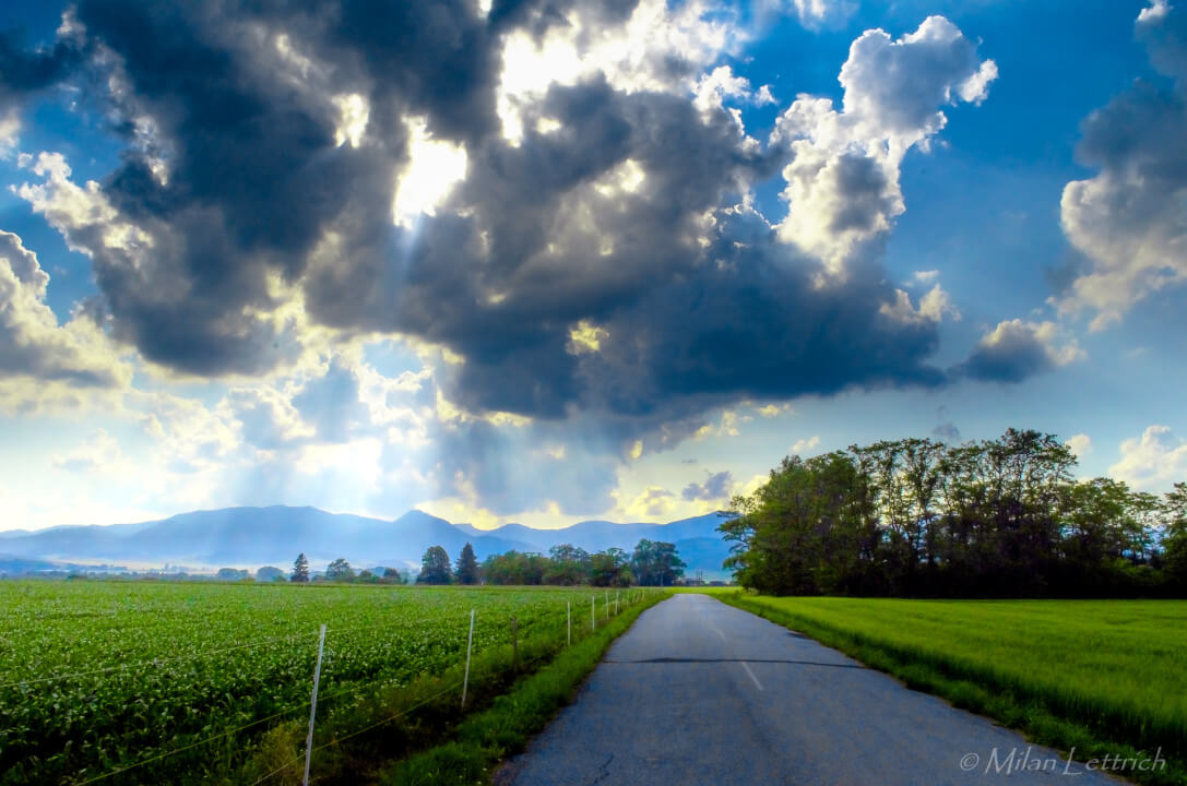 Úprava fotiek/ Odstránenie pozadia