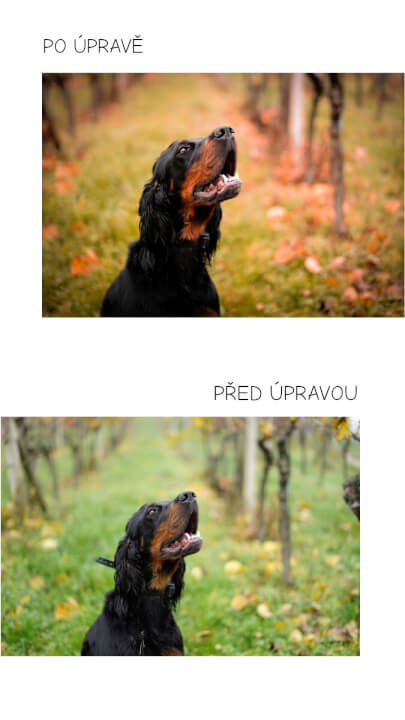 Úprava fotek 5ks