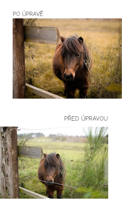 Úprava fotek 5ks