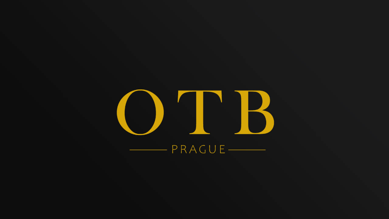 Zcela jedinečné logo na míru