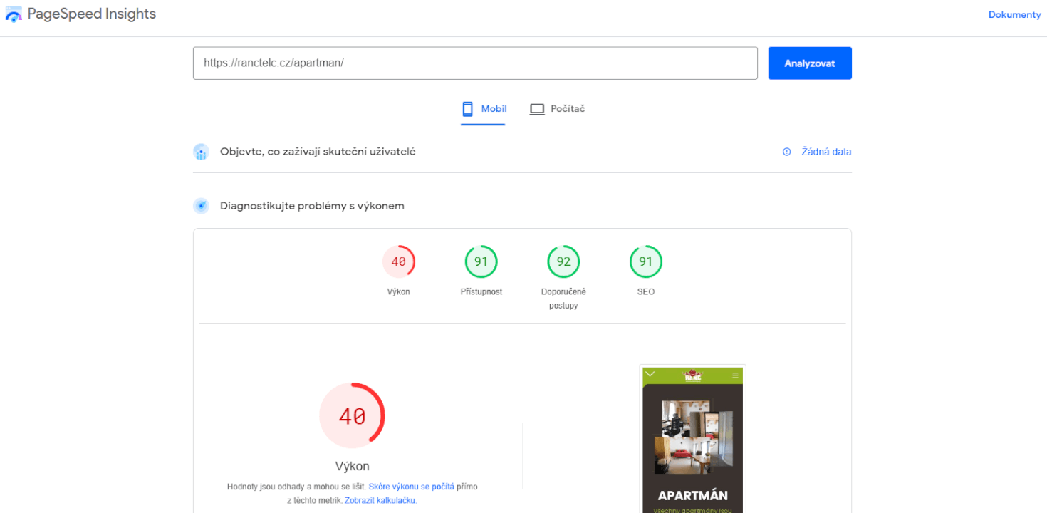 Profesionální zrychlení WP webu