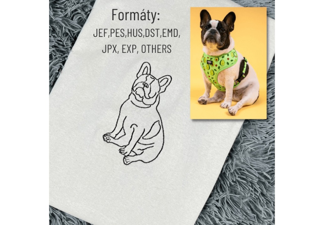 Digitalizace obrázků pro vyšívací stroje / PES,HUS,DST,atd..