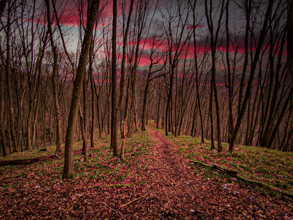 Úprava fotek dle přání