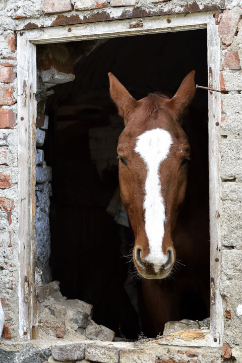 Fotografie na sociální sítě 