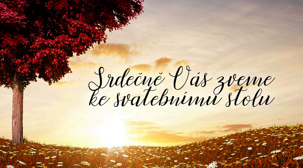 Prospekty, letáky, vouchery, svatebka. Vše včetně tisku