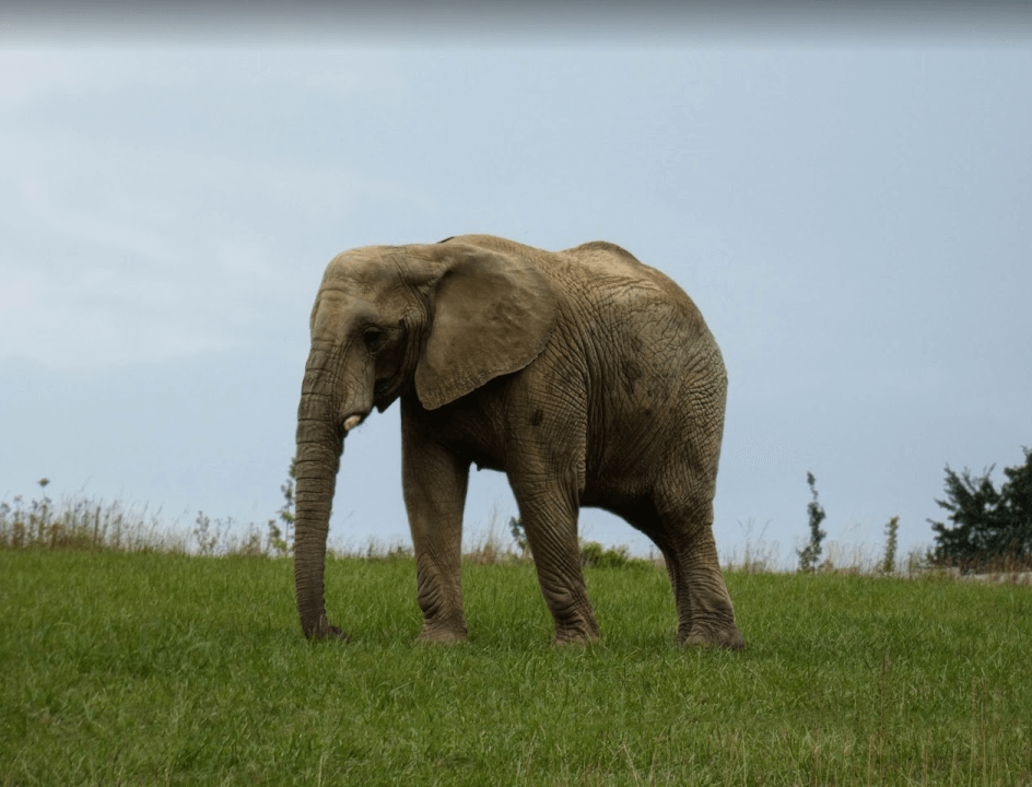 Úprava Fotografii ve Photoshopu