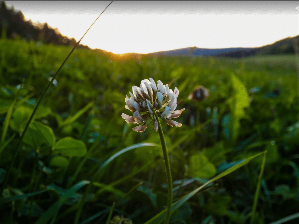 Úprava Fotografii ve Photoshopu