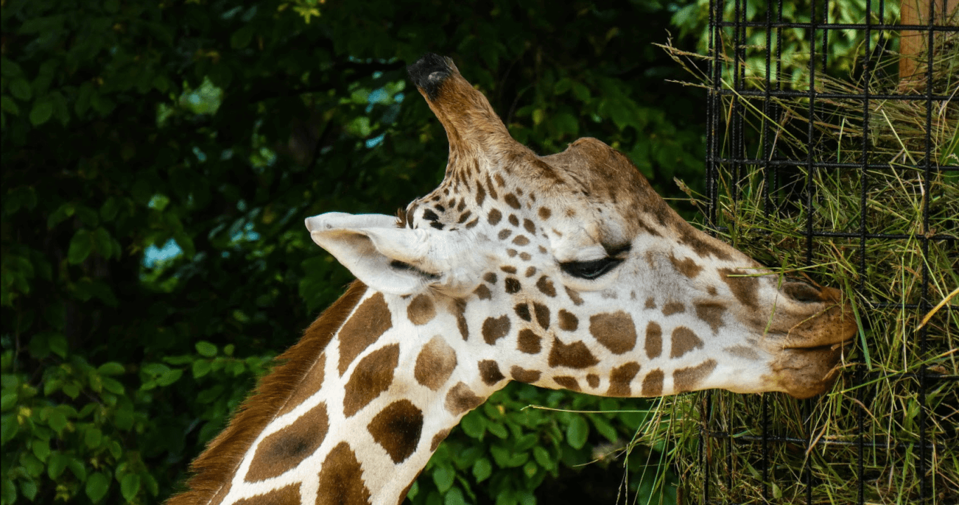 Úprava Fotografii ve Photoshopu