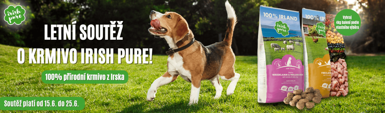 Banner pro váš web