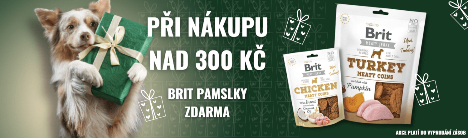 Banner pro váš web