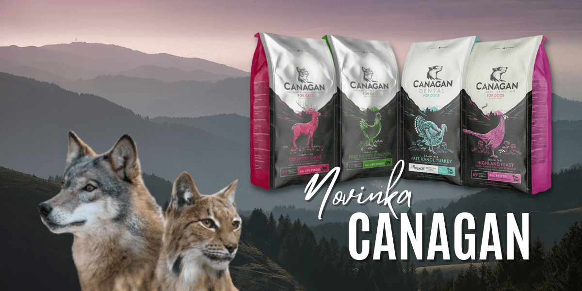 Banner pro váš web