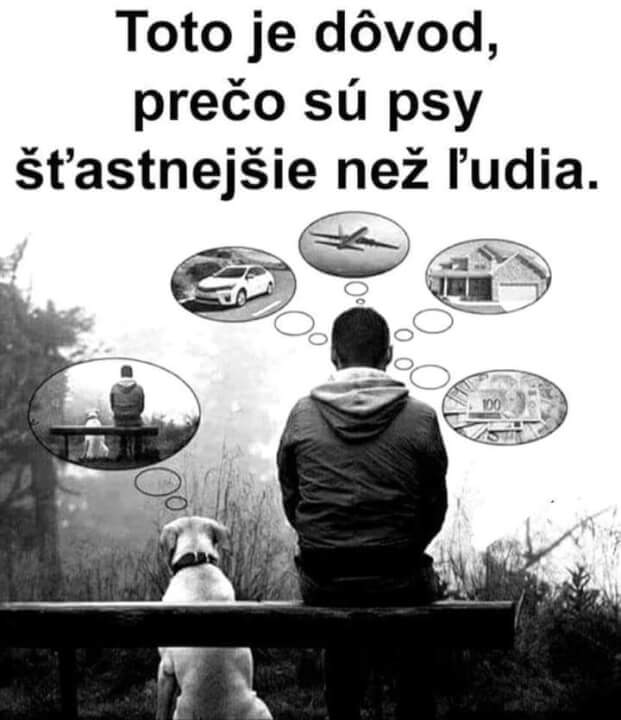 Vědomý výklad Vás nebo někoho včetně vloh!:)