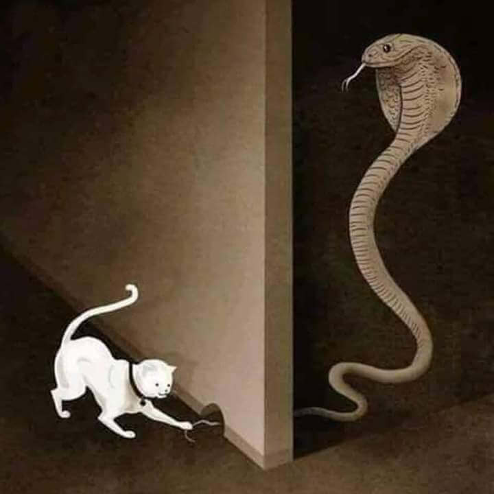 Vědomý výklad Vás nebo někoho včetně vloh!:)