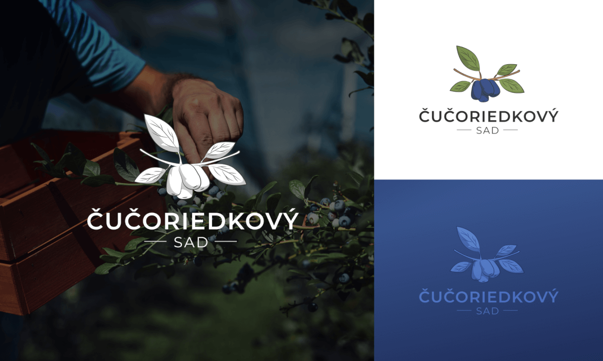 Navrhnem prémiové logo pre Váš biznis