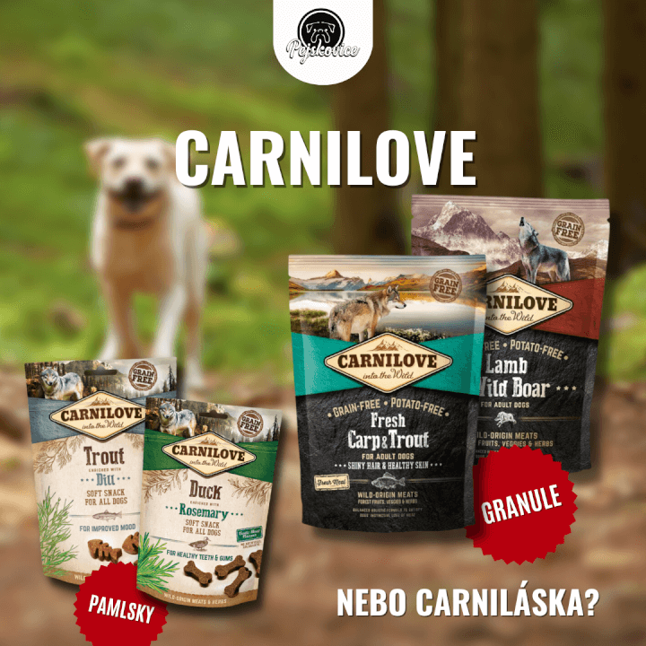 Grafika a textace pro vaše sociální sítě!