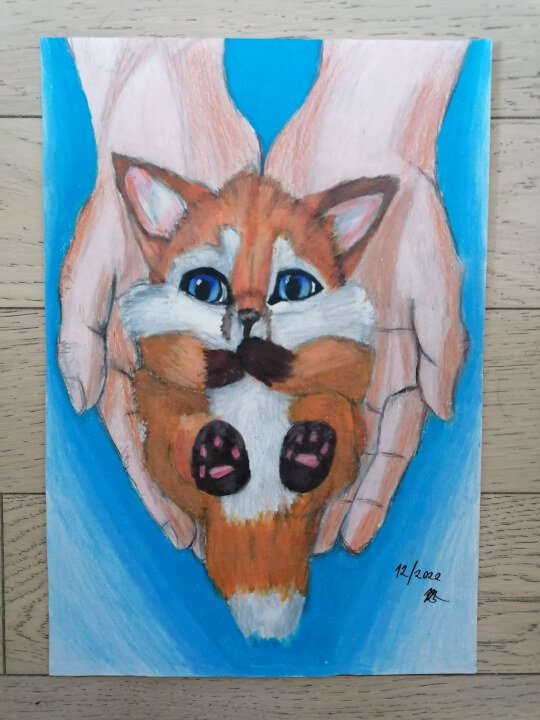 Obrázek na přání