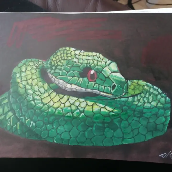 Obrázek na přání