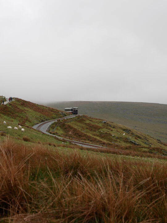 Úprava fotek, odstranění nechtěných prvků, cena za 5ks