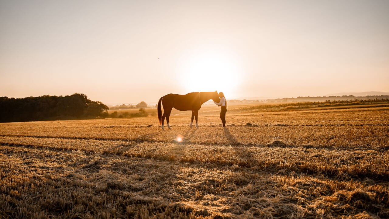 Úprava fotek, odstranění nechtěných prvků, cena za 5ks