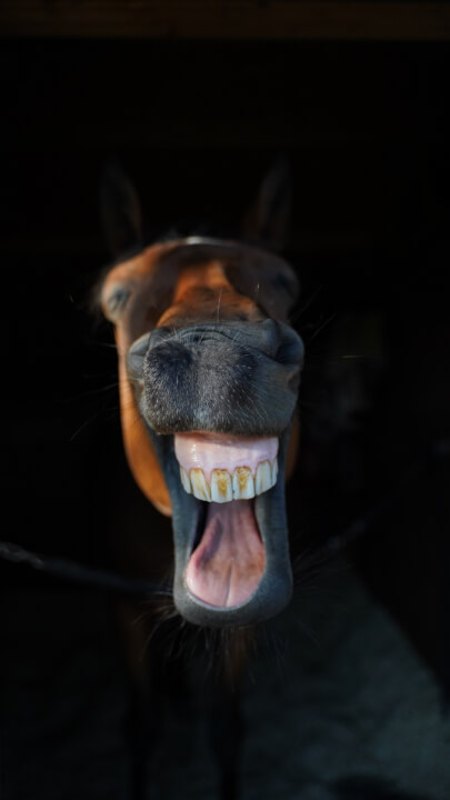 Úprava fotek, odstranění nechtěných prvků, cena za 5ks