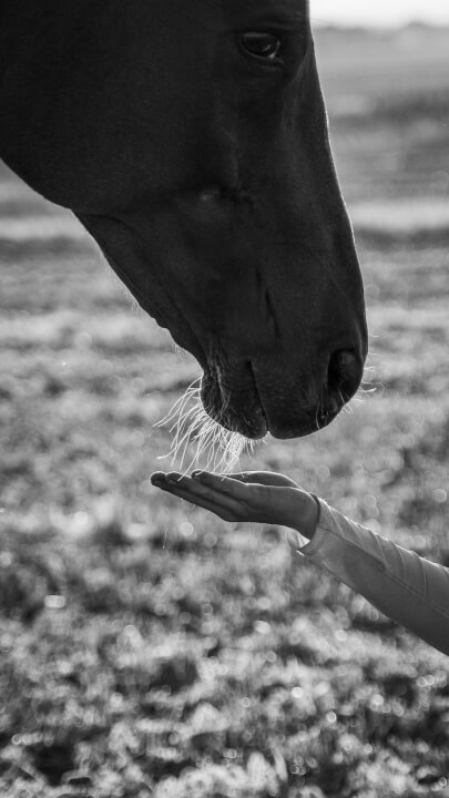 Úprava fotek, odstranění nechtěných prvků, cena za 5ks