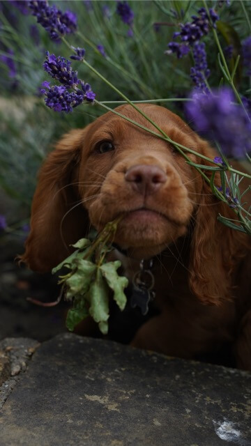 Úprava fotek, odstranění nechtěných prvků, cena za 5ks