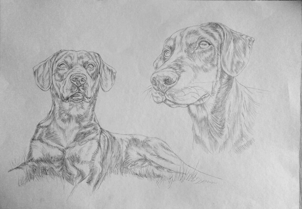 Kresba-formát A5-A2 